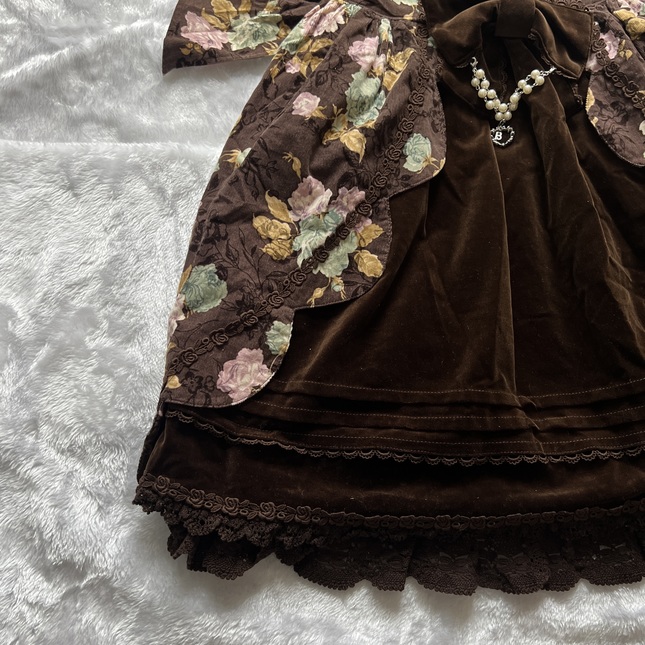 Baby the Stars Shine Bright - Antique Garden JSK in Brown