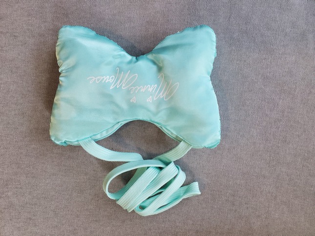 NWOT Tokyo Disney Mint Minnie Mouse Bow Bag Pochette Bags and Purses